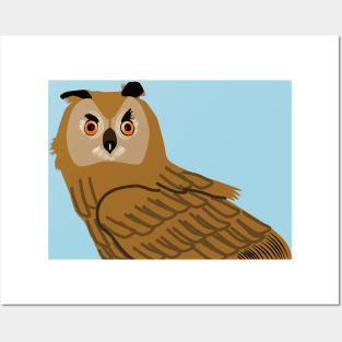 Owl, bird of prey Posters and Art